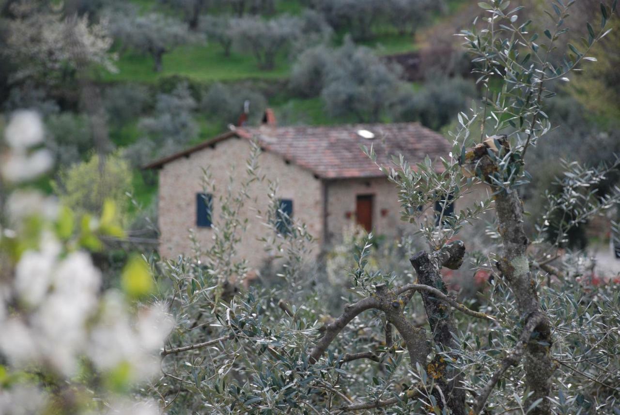 Le Corolline Villa Indipendente Uso Esclusivo Montepulciano Exterior photo